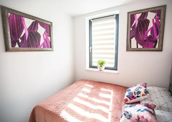 Wlodarska 4A Lux Premium